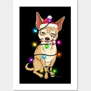 chihuahua christmas lights santa hat Posters and Art